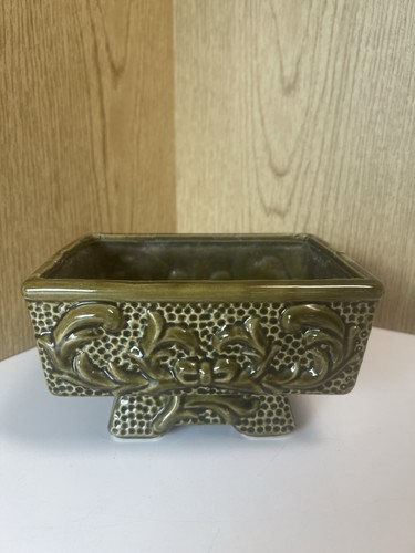 Bonsai tree planter olive - bonsai,