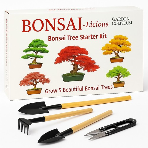 Bonsai tree kit grow 5 - tree,