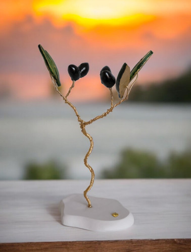 Olive tree bonsai with - olive,