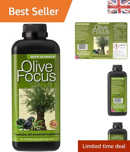 Olive focus liquid - olive, 1l