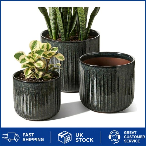 Stunning dark olive ceramic - dark,