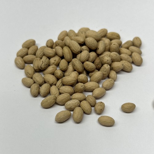 Common olive bonsai - tree, seed